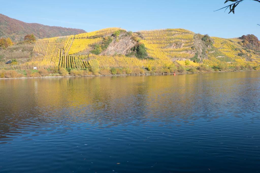 Panorama-Cafe Moselgarten Альф Экстерьер фото